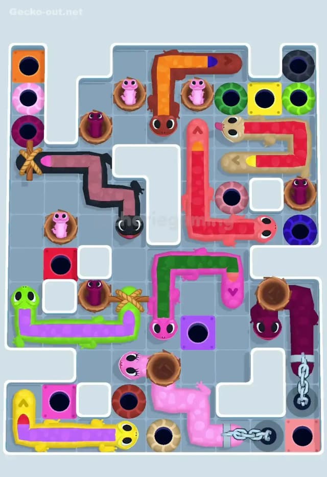 Gecko Out Level 636 Gameplay