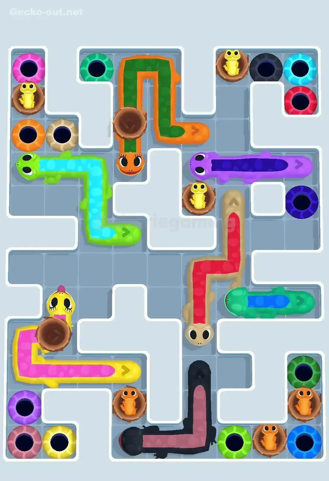 Gecko Out Level 607 Screenshot