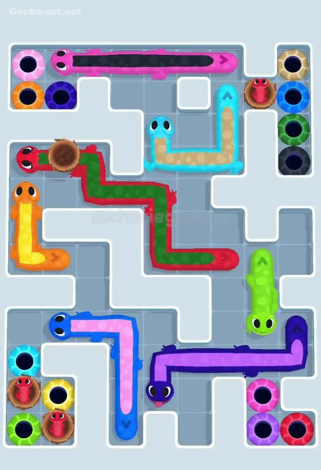 Gecko Out Level 590 Gameplay