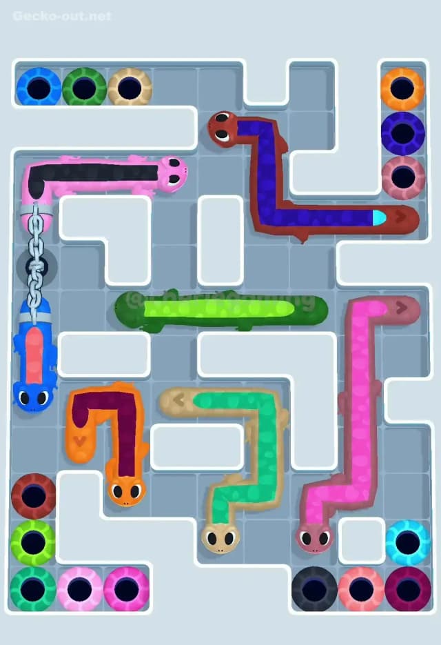 Gecko Out Level 562 Gameplay