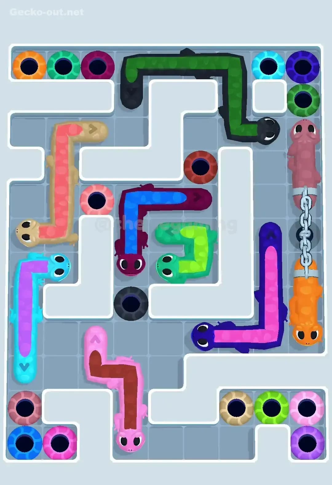 Gecko Out Level 555 Screenshot