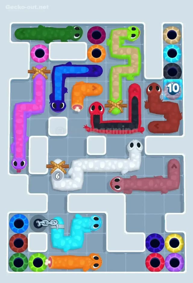 Gecko Out Level 543 Gameplay