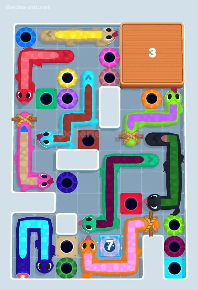 Gecko Out Level 482 Gameplay