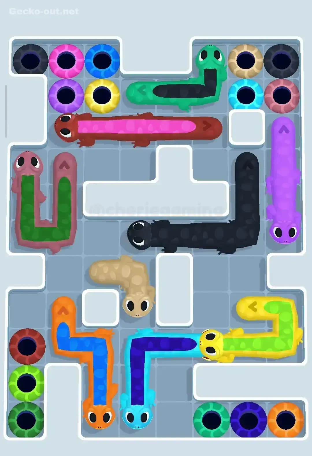 Gecko Out Level 263 Screenshot