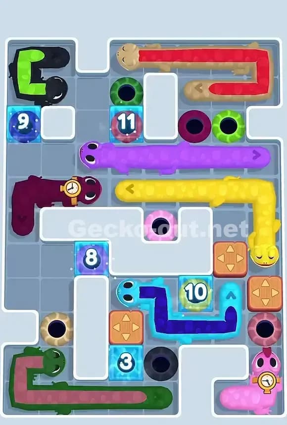 Gecko Out Level 811 Solution 1