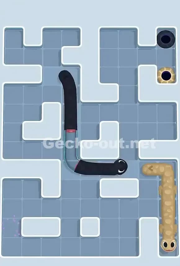 Gecko Out Level 880 Solution 3