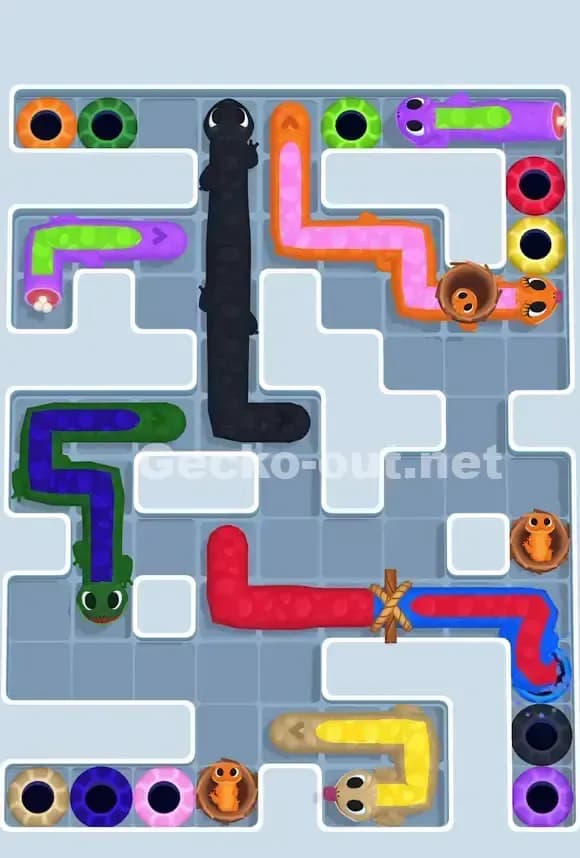 Gecko Out Level 763 Solution 2