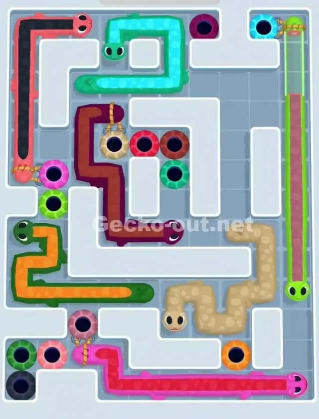 Gecko Out Level 1160 Solution 1