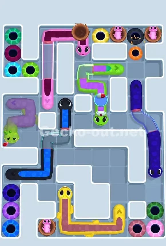 Gecko Out Level 875 Solution 1