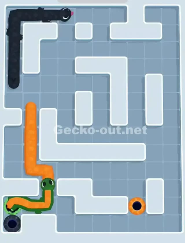 Gecko Out Level 1160 Solution 3