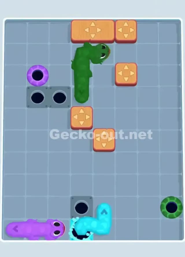 Gecko Out Level 1091 Solution 3