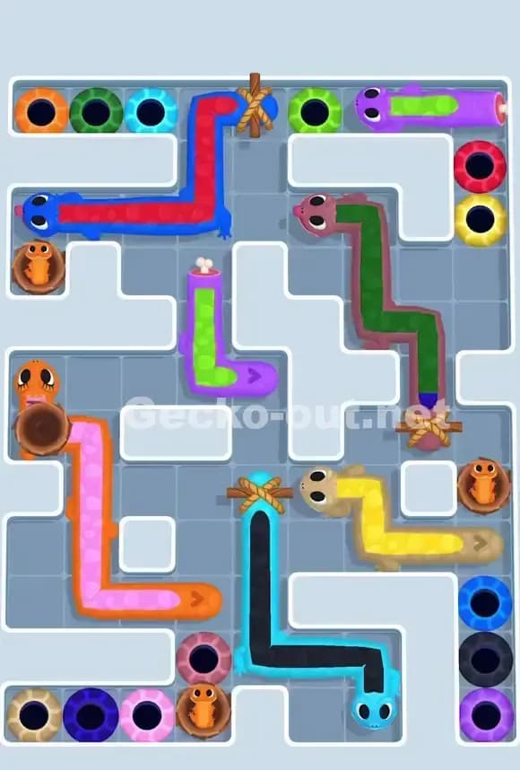 Gecko Out Level 763 Gameplay