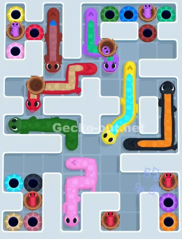 Gecko Out Level 1078 Solution 1