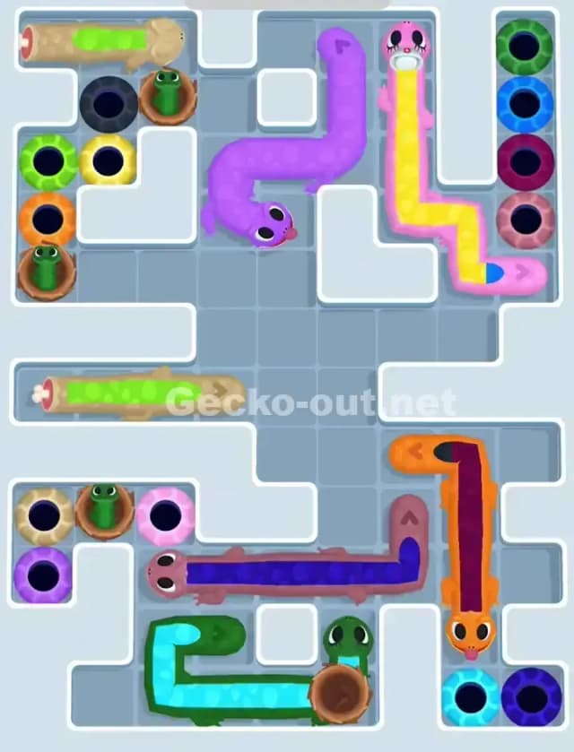 Gecko Out Level 1119 Solution 1