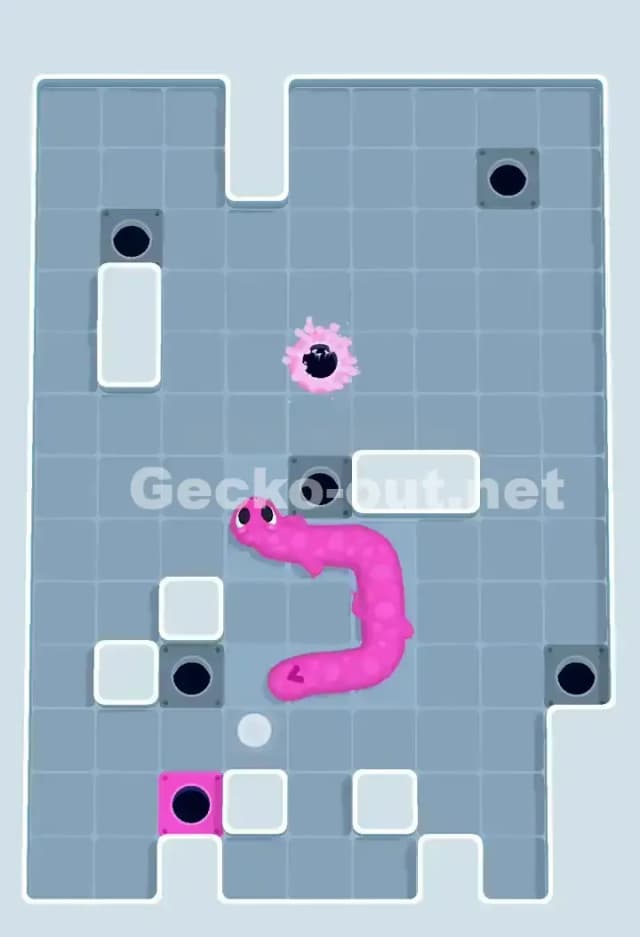 Gecko Out Level 674 Solution 3