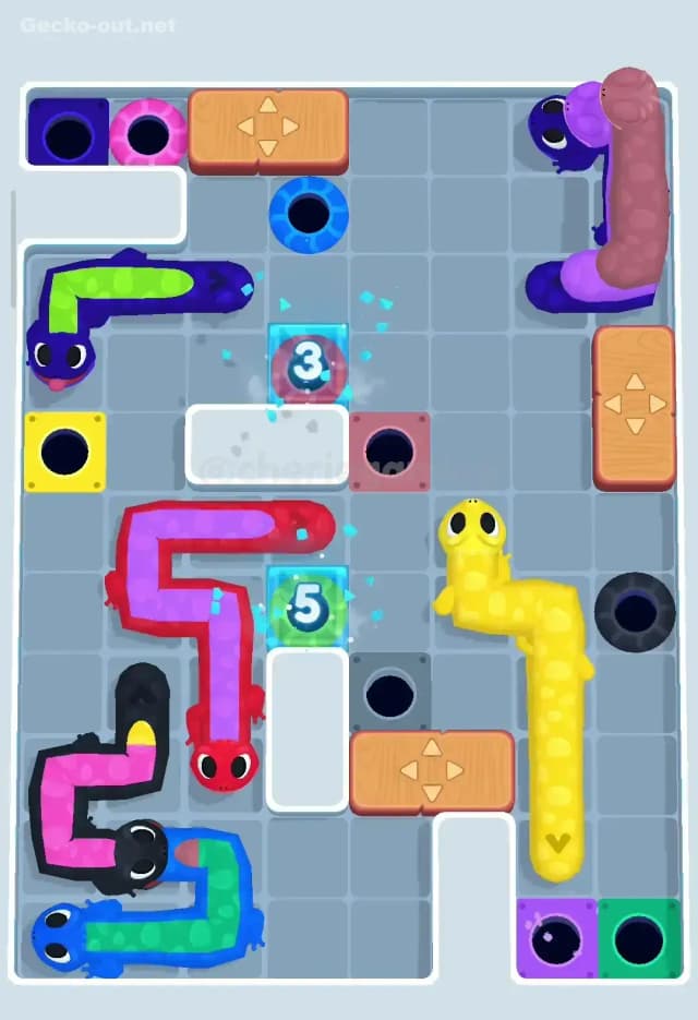 Gecko Out Level 316 Solution 3