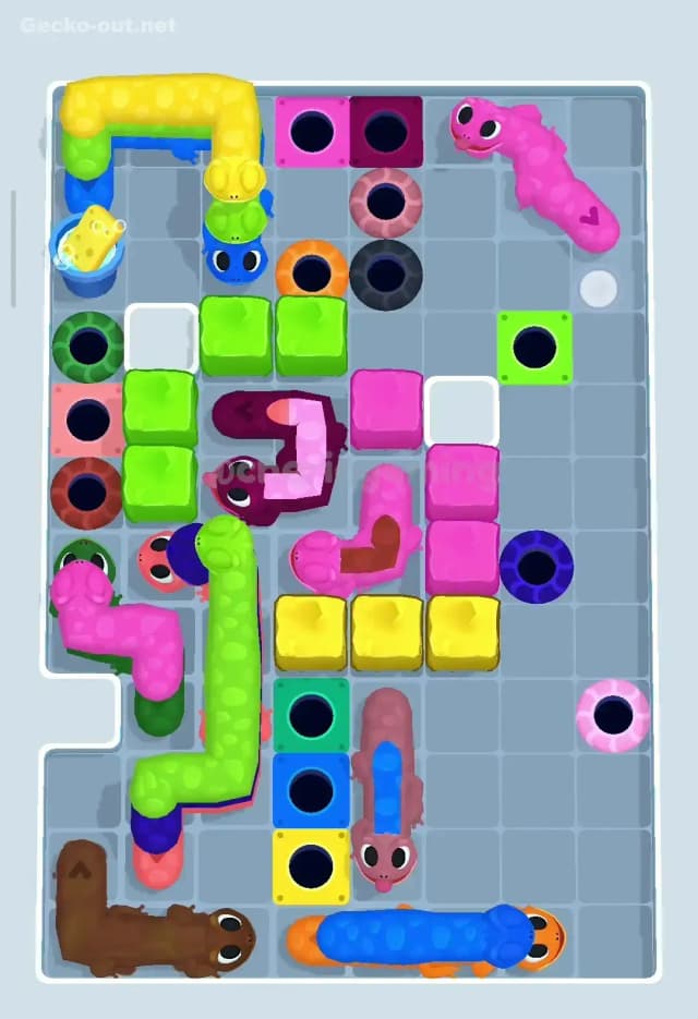 Gecko Out Level 307 Solution 3