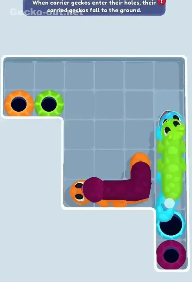 Gecko Out Level 302 Solution 1