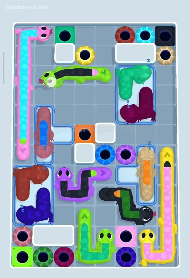 Gecko Out Level 300 Solution 1