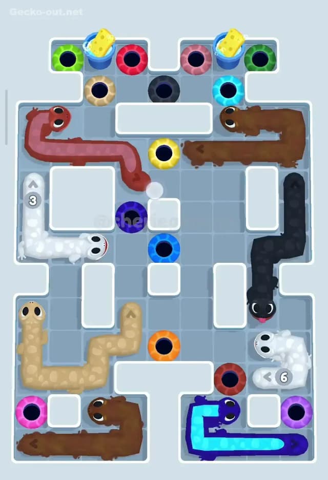 Gecko Out Level 299 Solution 2