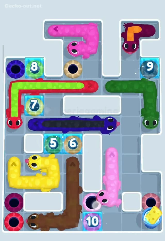 Gecko Out Level 295 Solution 2