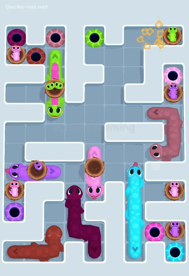 Gecko Out Level 631 Solution 3