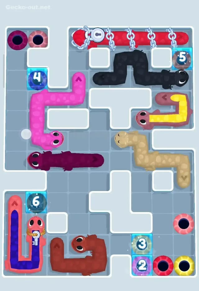 Gecko Out Level 270 Solution 3