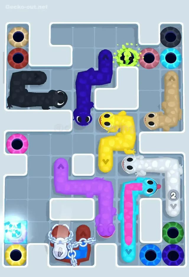 Gecko Out Level 266 Solution 2