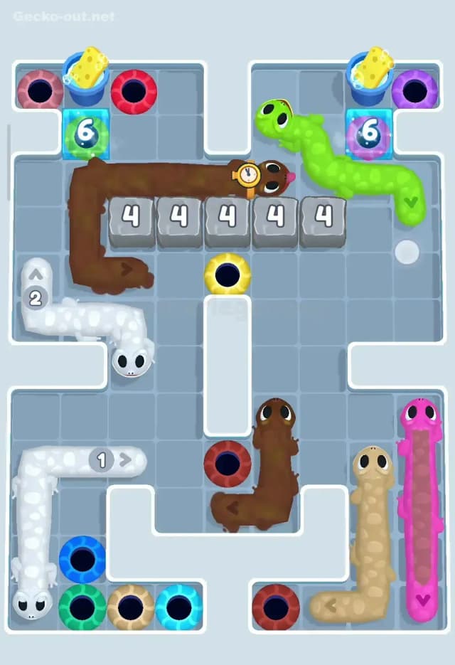 Gecko Out Level 261 Solution 3