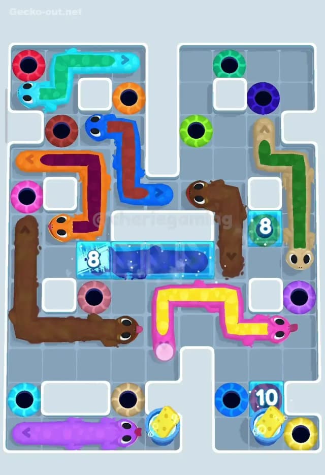 Gecko Out Level 260 Solution 1