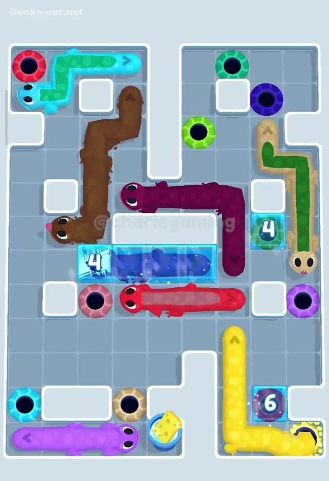 Gecko Out Level 260 Solution 3