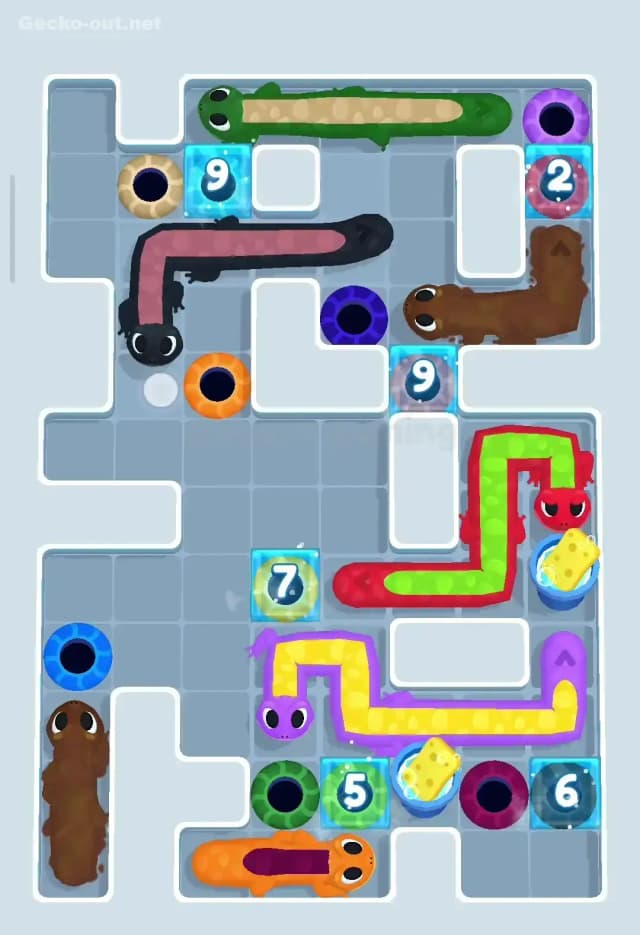 Gecko Out Level 258 Solution 1