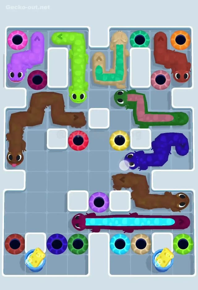 Gecko Out Level 256 Solution 2