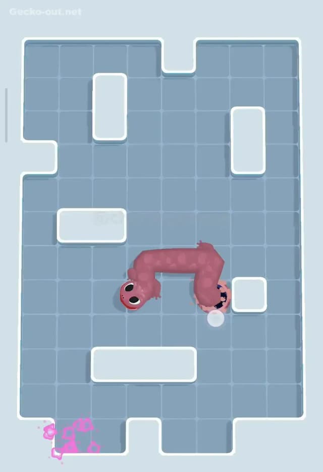 Gecko Out Level 254 Solution 3