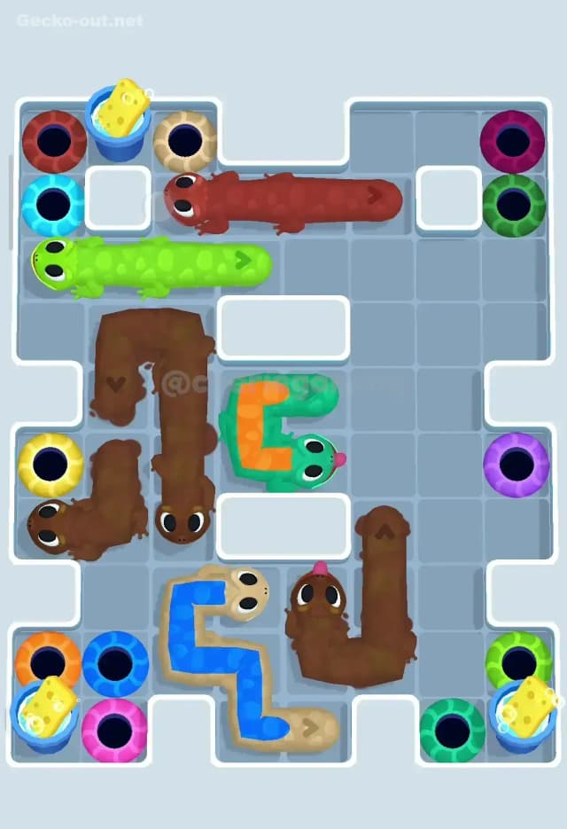 Gecko Out Level 246 Solution 1