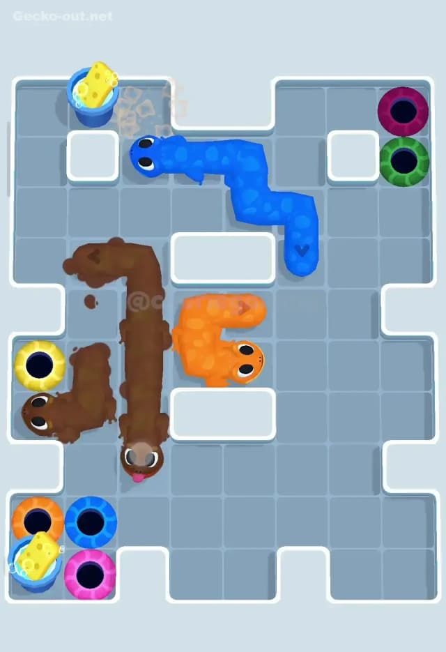 Gecko Out Level 246 Solution 2