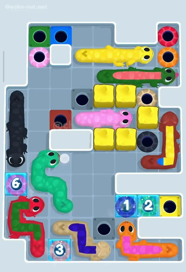 Gecko Out Level 243 Solution 3