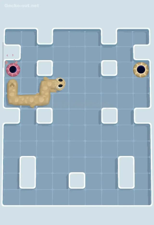 Gecko Out Level 242 Solution 3