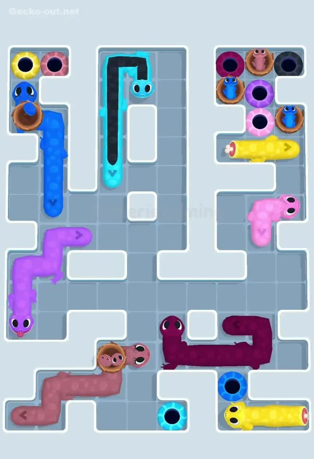 Gecko Out Level 627 Solution 3