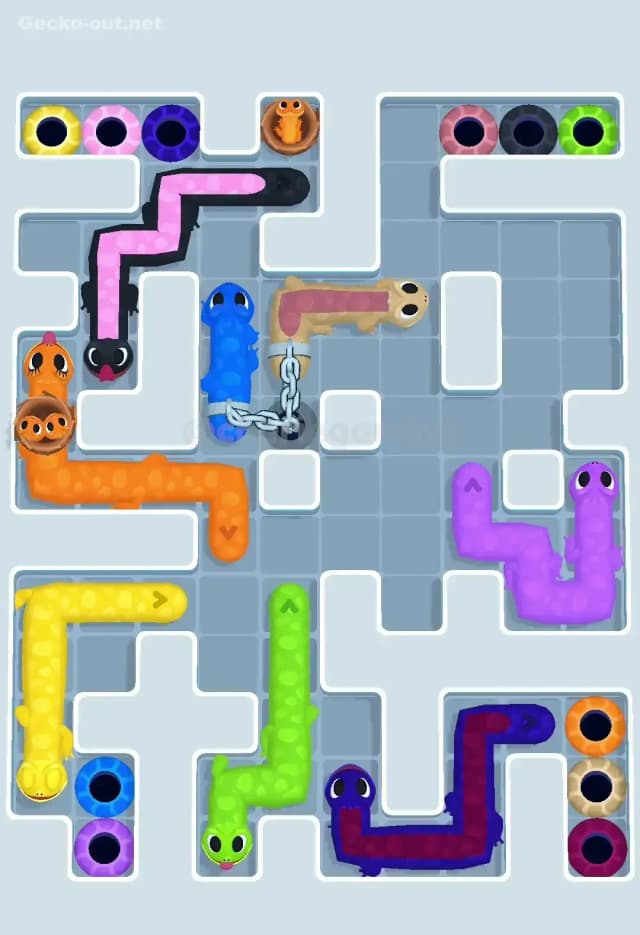 Gecko Out Level 626 Solution 2
