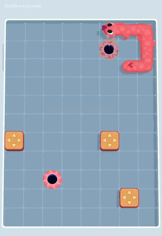 Gecko Out Level 220 Solution 3