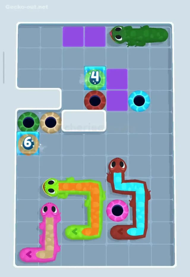 Gecko Out Level 211 Solution 2