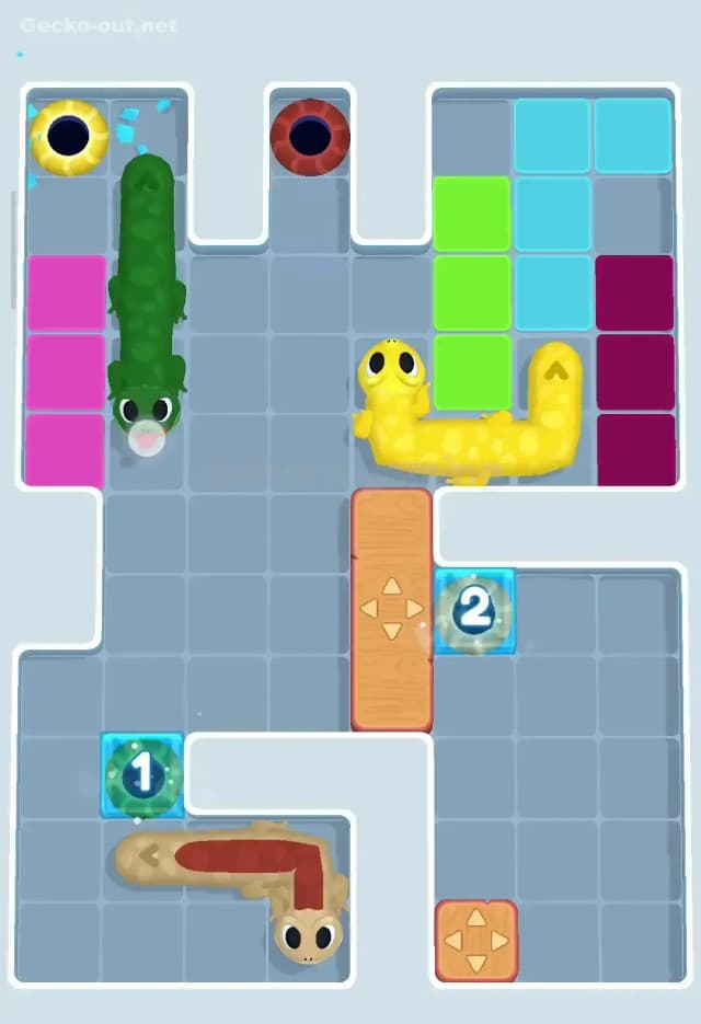 Gecko Out Level 204 Solution 2