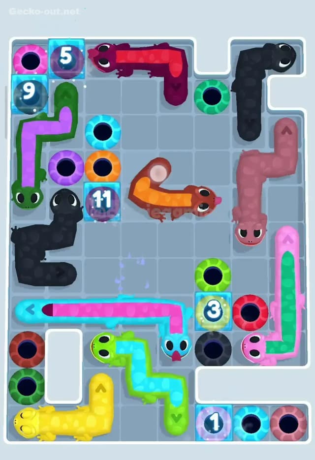 Gecko Out Level 196 Solution 3