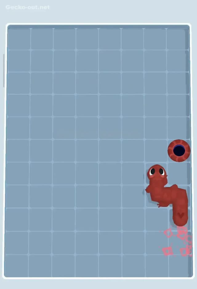 Gecko Out Level 191 Solution 3