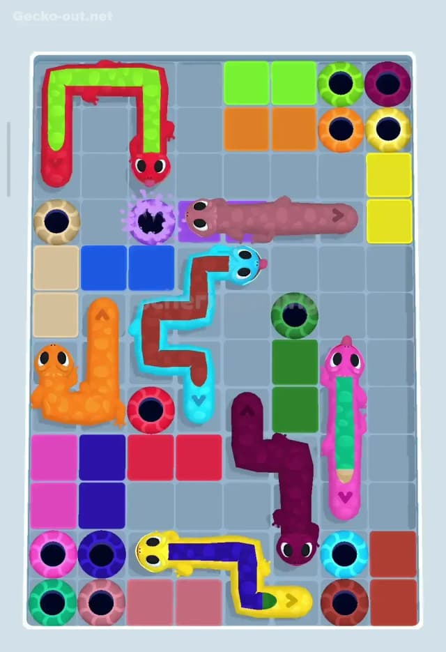 Gecko Out Level 186 Solution 1