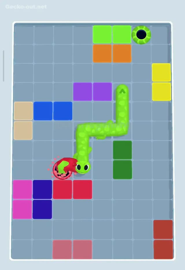Gecko Out Level 186 Solution 3