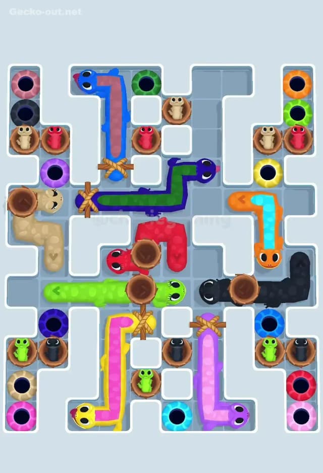 Gecko Out Level 617 Solution 1