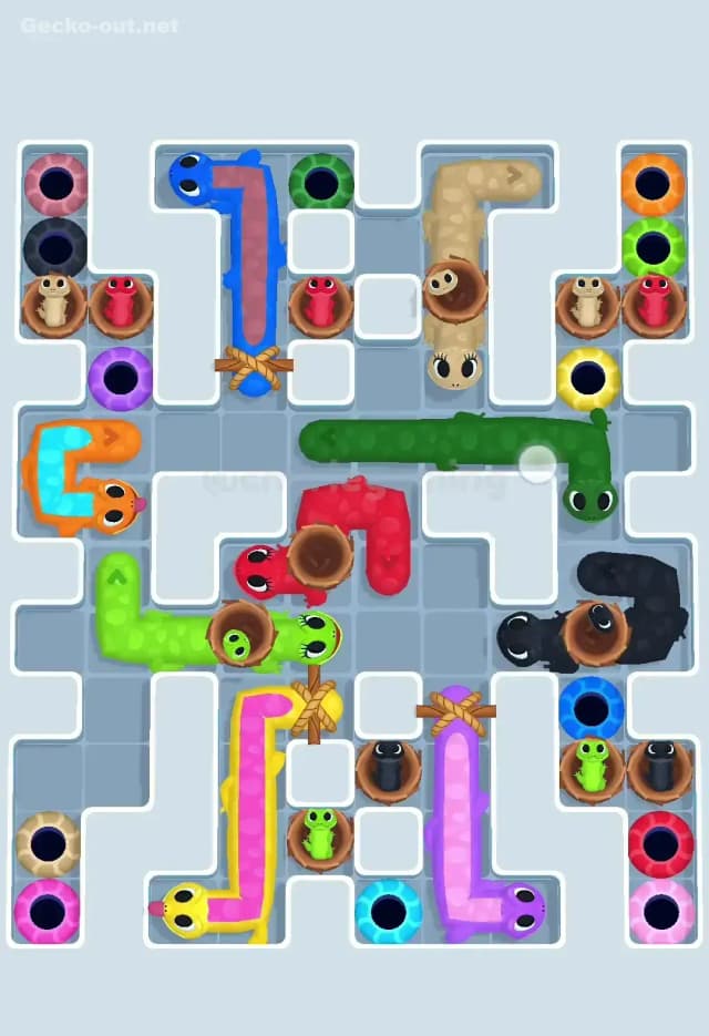 Gecko Out Level 617 Solution 3