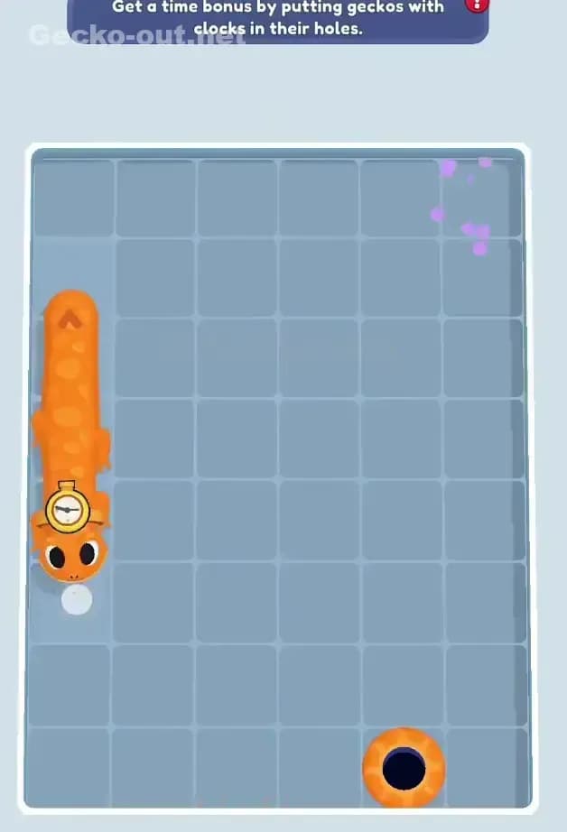 Gecko Out Level 173 Solution 3